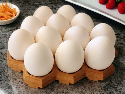 Honeycomb Egg Holder